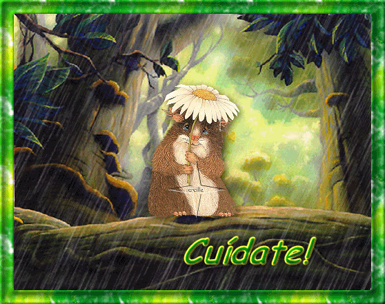 cuidate.gif image by arcilla46